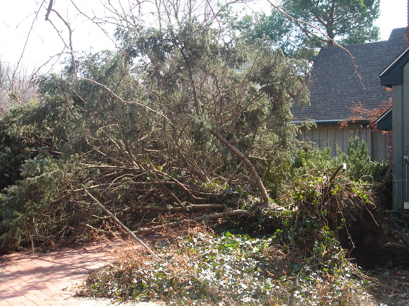 Prescott Tree Service business image