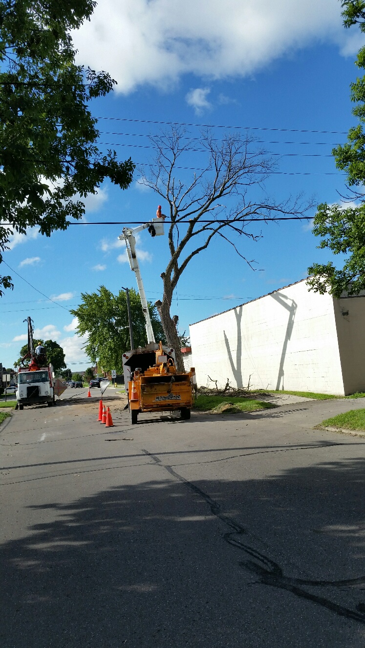 Prescott Tree Service business image