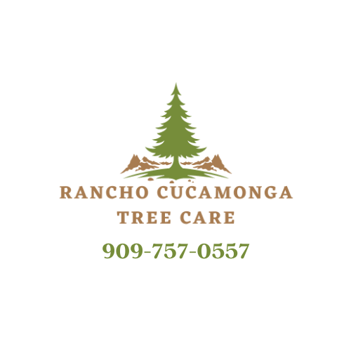 Rancho Cucamonga Tree Care business image