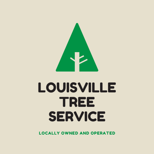 Business directory image