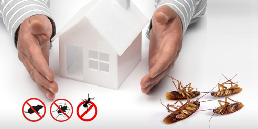 All Track Exterminators business image