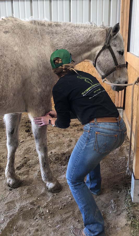 Triggerpoint Equine & K9 Sports Massage Therapy business image