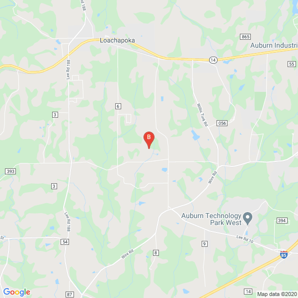 Business directory image