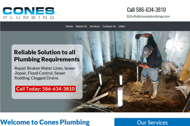AmeriWeb Hosting business image