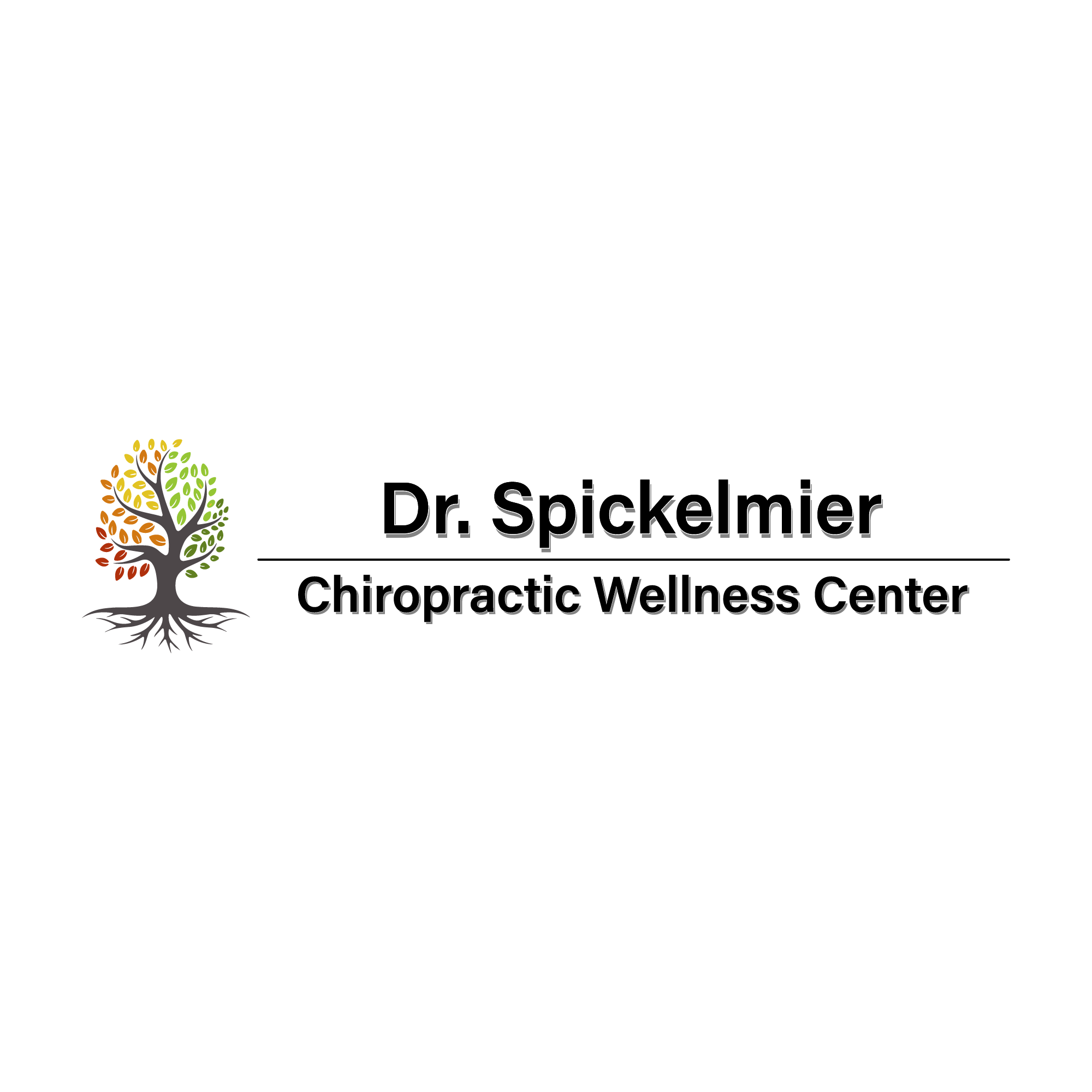 Chiropractic Wellness Center business image