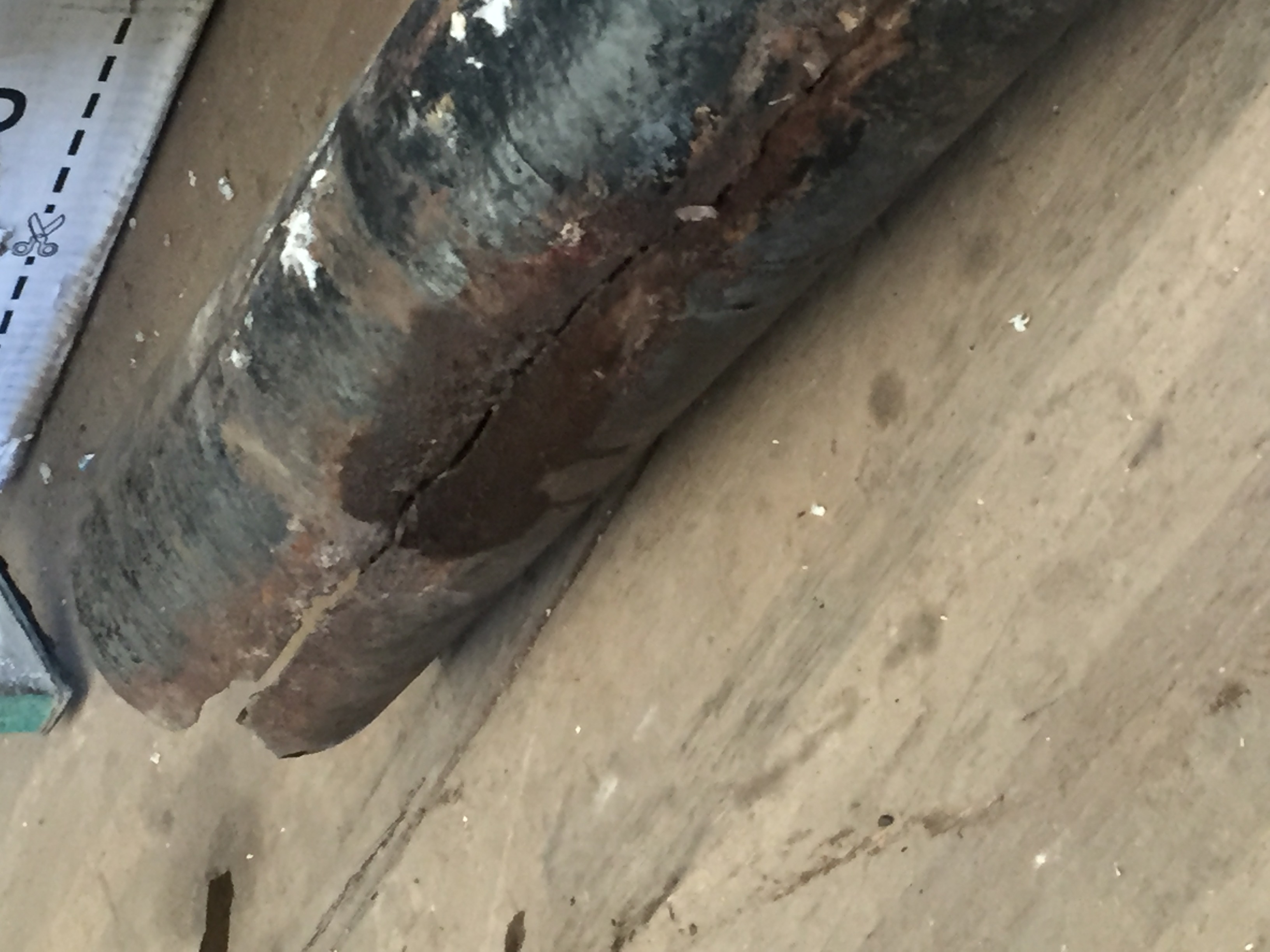Alert Plumbing LTD business image