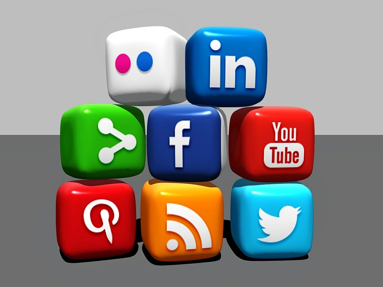 Feed Forth business image