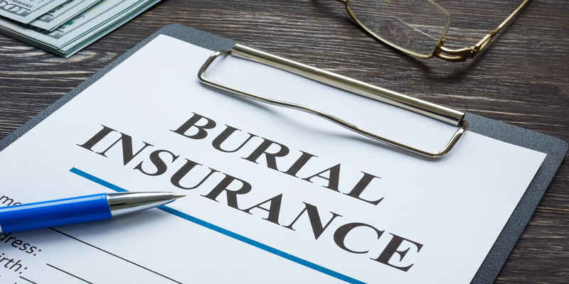 Albany Life Insurance Experts business image