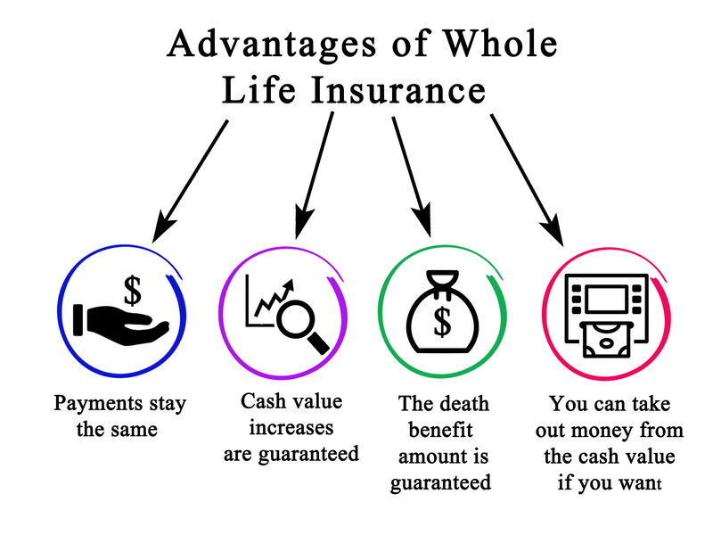 Gainesville Life Insurance Experts business image